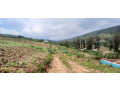 plot-for-sale-in-rwamagana-at-agood-sale-small-1