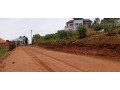 bumbogo-small-1