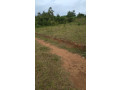 busanza-plot-for-sale-in-kigali-small-2