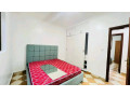 nyarutarama-near-mtn-furnished-house-for-rent-small-5