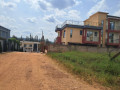 nyarutarama-small-1