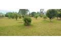 land-for-sale-at-kinyaga-bumbogo-azam-small-1