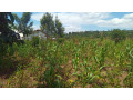 large-plot-for-sale-in-bugesera-small-10