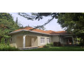 kigali-house-for-rent-in-kiyovu-small-1
