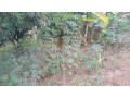 kigali-land-for-sale-in-nyamirambo-small-0