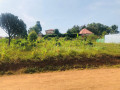 kagugu-plot-for-sale-small-2