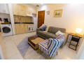 nyarutarama-furnished-apartment-for-rent-small-0