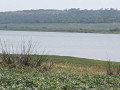 bugesera-land-for-sale-in-rilima-small-0