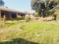 remera-plot-with-old-house-for-sale-300m-small-5