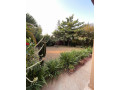 kigali-house-for-rent-in-kicukiro-sonatube-small-3