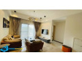 nyarutarama-very-nice-serviced-apartments-for-rent-in-beautiful-neighborhoods-kigali-rwanda-small-8