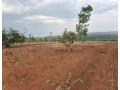 bugesera-plots-for-sale-in-kanzenze-small-7