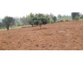 industrial-land-for-sale-in-bugesera-near-airport-of-rwanda-small-0