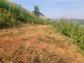 gasogi-residential-plot-for-sale-20-million-small-2