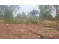 kigali-land-for-sale-in-rebero-small-9