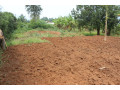 residential-plot-for-sale-in-bugesera-near-airport-hot-deal-small-3