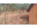 plot-for-sale-on-mt-kigali-small-4
