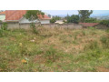 kigali-land-for-sale-in-kimironko-small-6