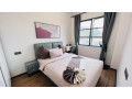 gishushu-best-vip-serviced-apartments-for-rent-fully-furnished-in-kigali-rwanda-small-6
