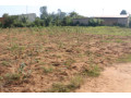 industrial-land-for-sale-in-bugesera-near-airport-of-rwanda-small-0