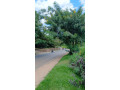 kibagabaga-plot-for-sale-small-4