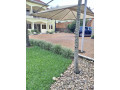 kigali-family-villa-available-for-rent-in-kibagabaga-near-pilipili-small-0