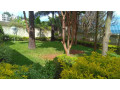 kigali-land-for-sale-in-rebero-near-heavens-garden-small-2