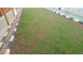 kigali-house-for-sale-in-nyamirambo-small-8