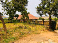 kagugu-plot-for-sale-small-1
