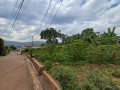 kagugu-small-2