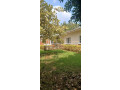 kigali-unfurnished-house-available-for-rent-in-kiyovu-small-2