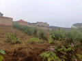 kigali-plots-for-sale-in-bugesera-kanzenze-small-2