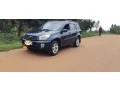 toyota-rav4-small-2