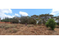 plot-for-sale-in-rusororo-small-3