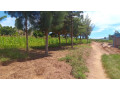 large-plot-for-sale-in-bugesera-small-2