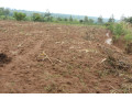 land-for-sale-in-bugesera-near-airport-of-rwanda-access-on-lake-small-2