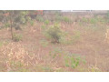 kigali-2-different-plots-for-sale-in-rebero-small-8