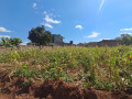 gisozi-plot-for-sale-small-4