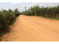 plot-for-sale-in-bugesera-near-airport-hot-deal-small-0