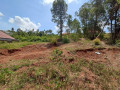 muyange-small-5