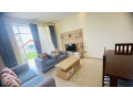 kimihurura-very-nice-furnished-apartments-in-rwanda-kigali-small-2