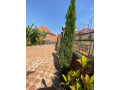 kigali-beautiful-house-for-rent-in-kagarama-small-4