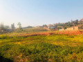 kibagabaga-plot-for-sale-small-2