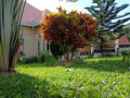 kibagabaga-fully-furnished-house-for-rent-withcallwsp-small-2