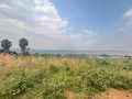kanzenze-residential-plots-for-sale-in-bugesera-small-5