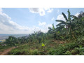 kigali-land-for-sale-in-nduba-small-4