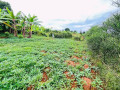 kibagabaga-kigali-gorgeous-house-for-sale-small-6