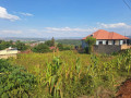 kigali-land-for-sale-in-busanza-kanombe-small-1