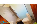 very-nice-fully-furnished-apartment-for-rent-inkigali-remera-small-2