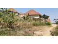 kimironko-zindiro-plots-for-sale-50m-small-0